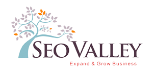 SEOValley Solutions Private Limited