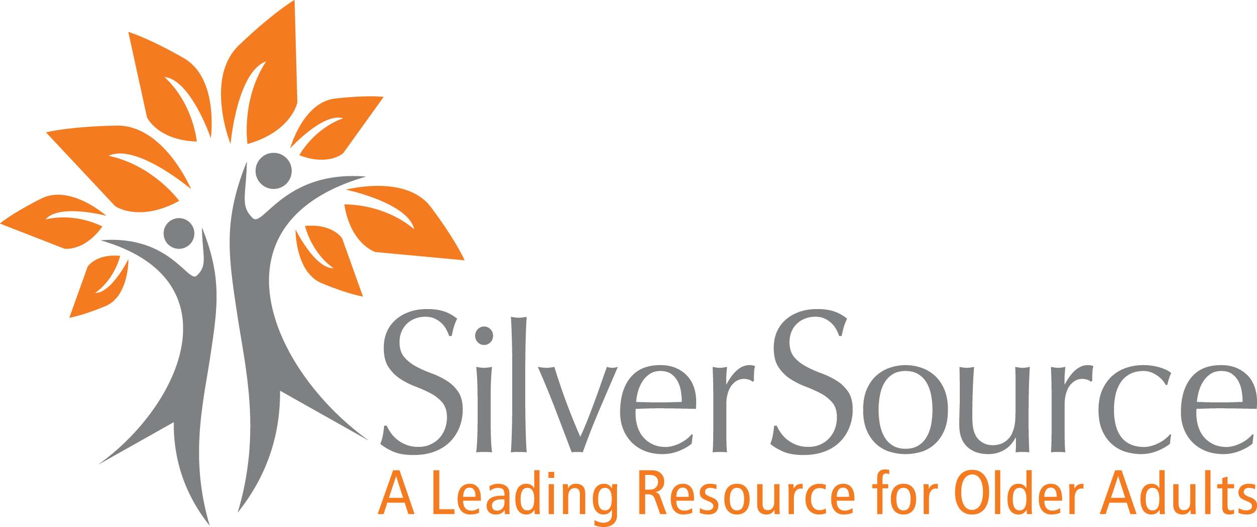SilverSource
